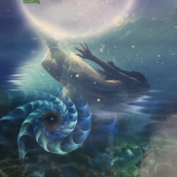 The Witches’ Almanac Issue 36 Spring 2017-2018 Paperback Book Water - Picture 4 of 10